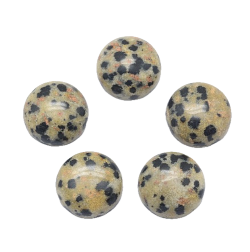 Dalmatian Jasper Petite