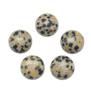 Dalmatian Jasper Petite