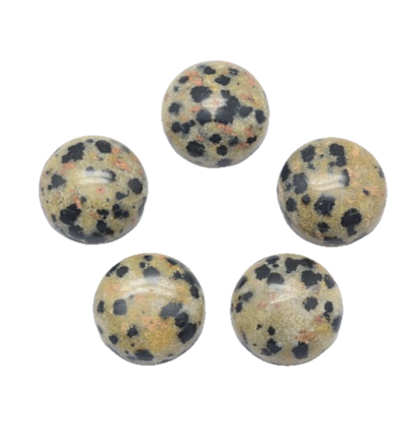 Dalmatian Jasper Petite