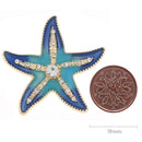 Sea Star Blue