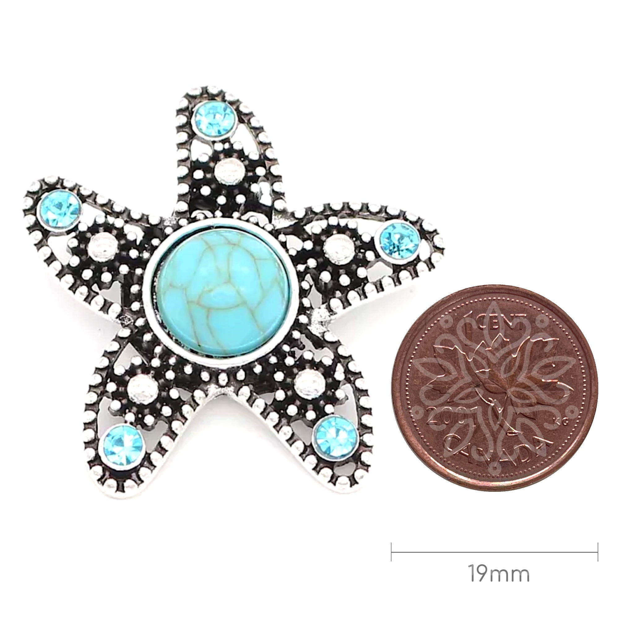 Cyan Sea Star