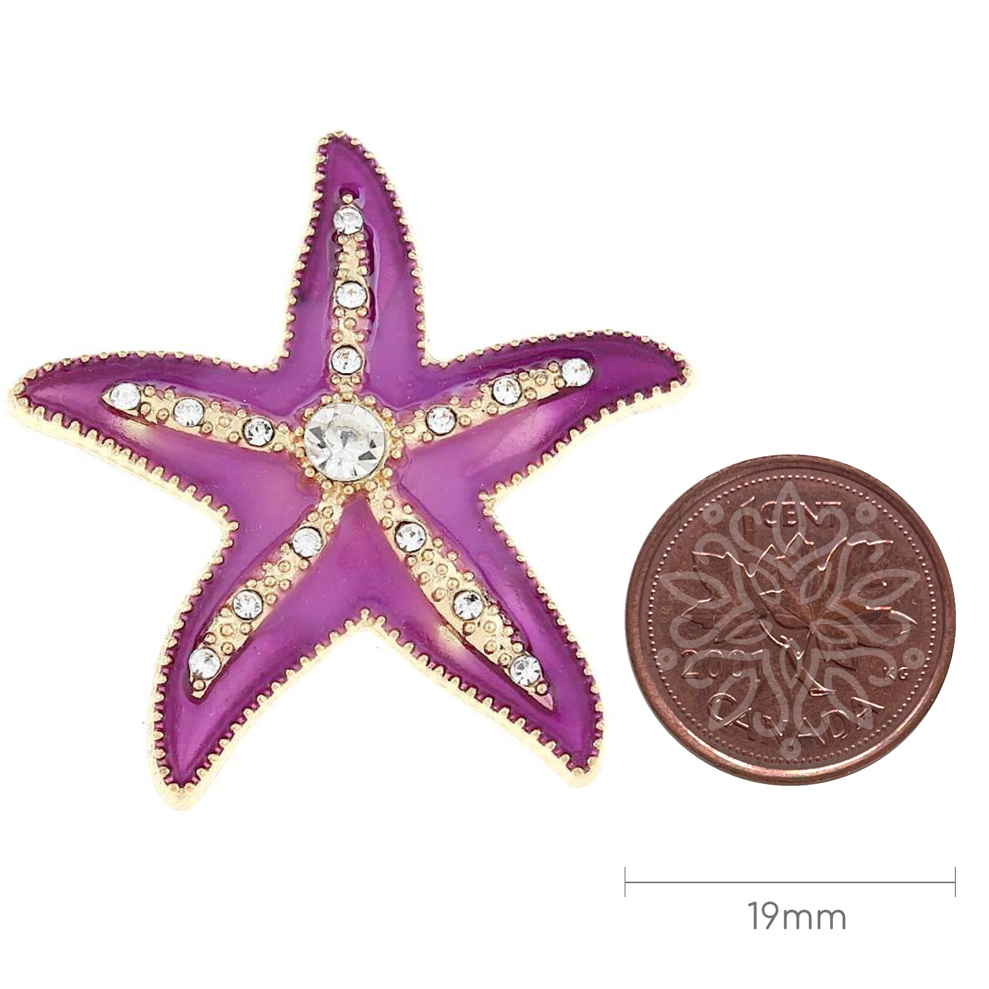 Sea Star Ocher