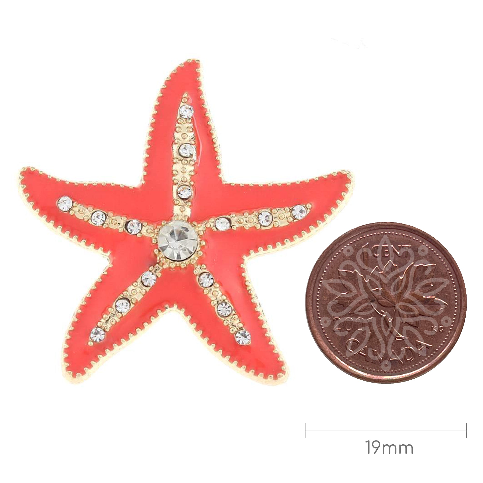 Sea Star Pacific Blood