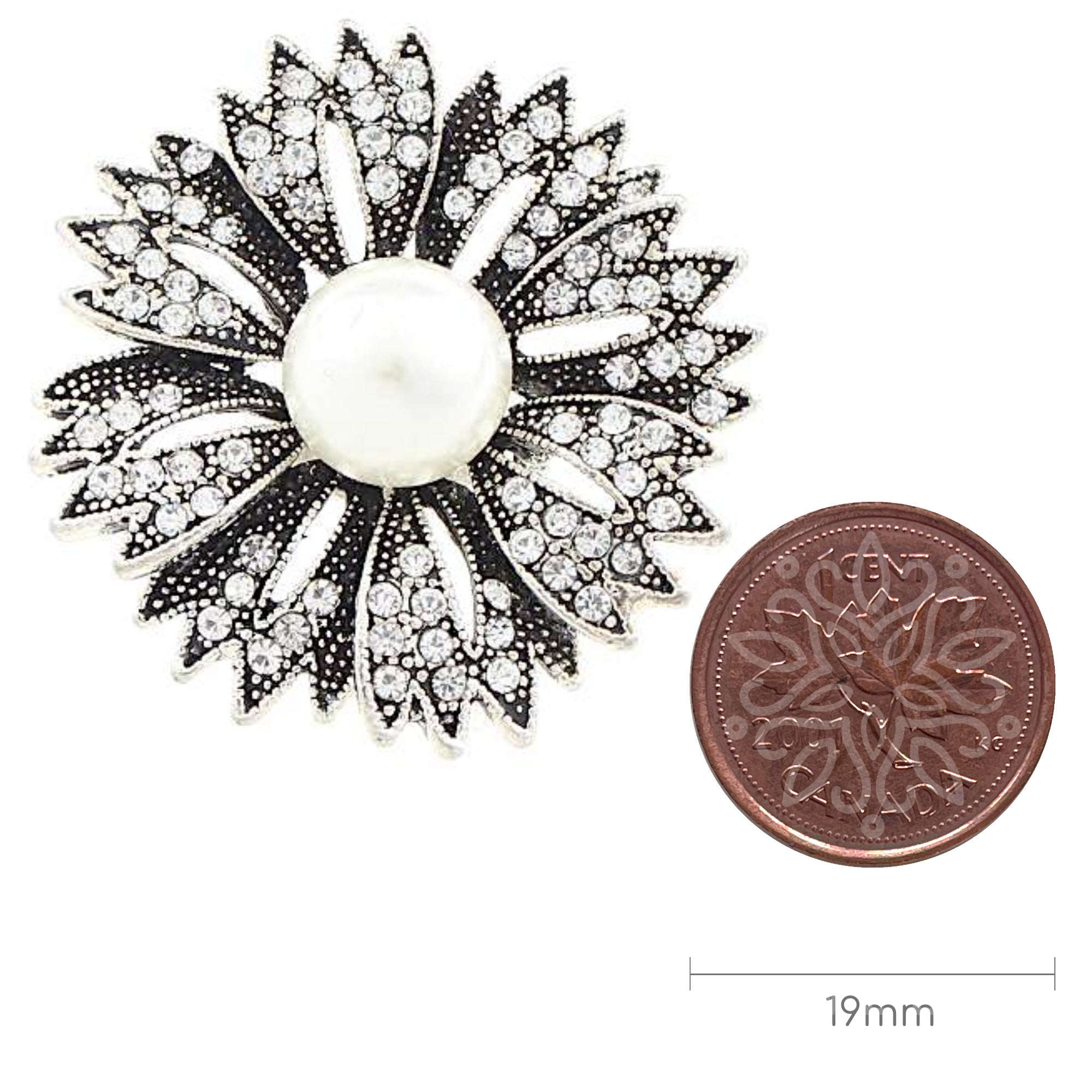 Chrysanthemum