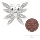 White Plume Moth 35mm