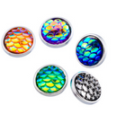 Dragon Scutes Petite Retail Collection