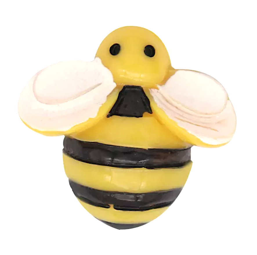 Kids Buzzzzz