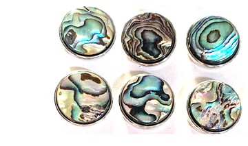 Abalone Paua