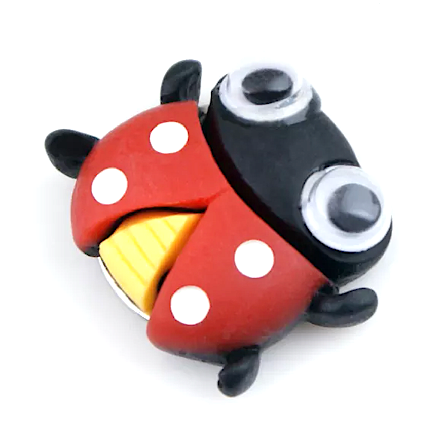 Kids LadyBug