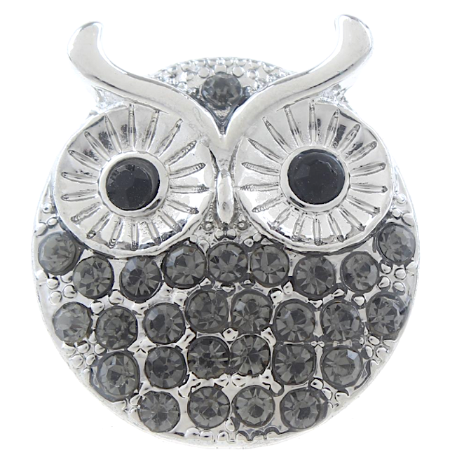 Screech Owl