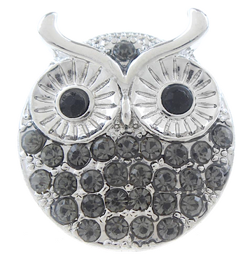 Screech Owl
