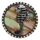 Seahorse on Shells