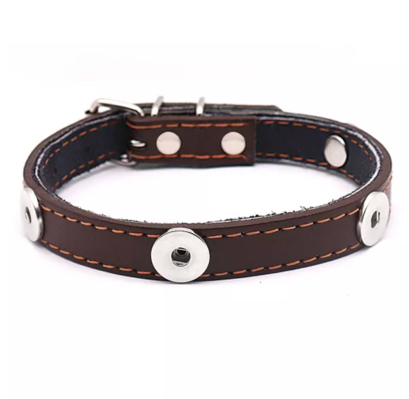Brown Leather Pet