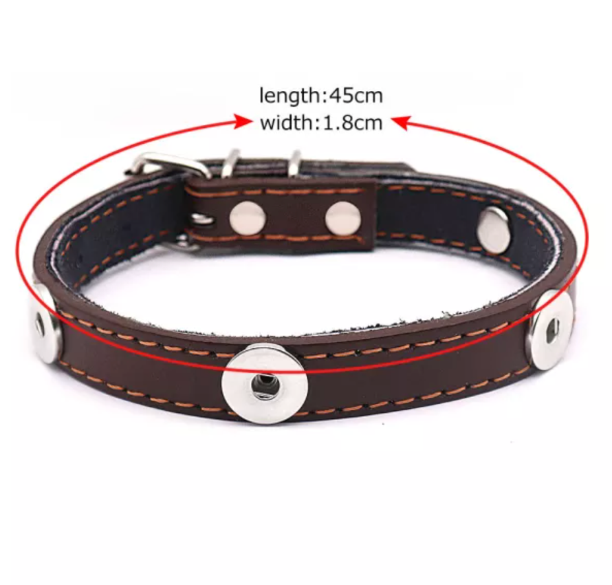 Brown Leather Pet