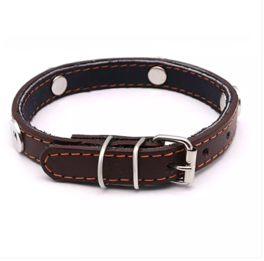 Brown Leather Pet