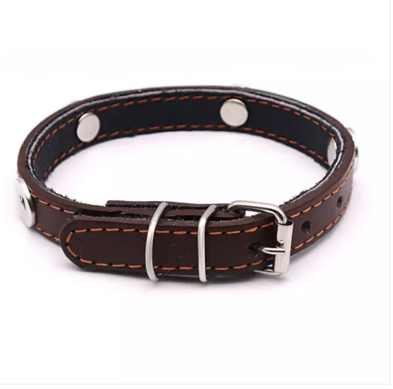 Brown Leather Pet