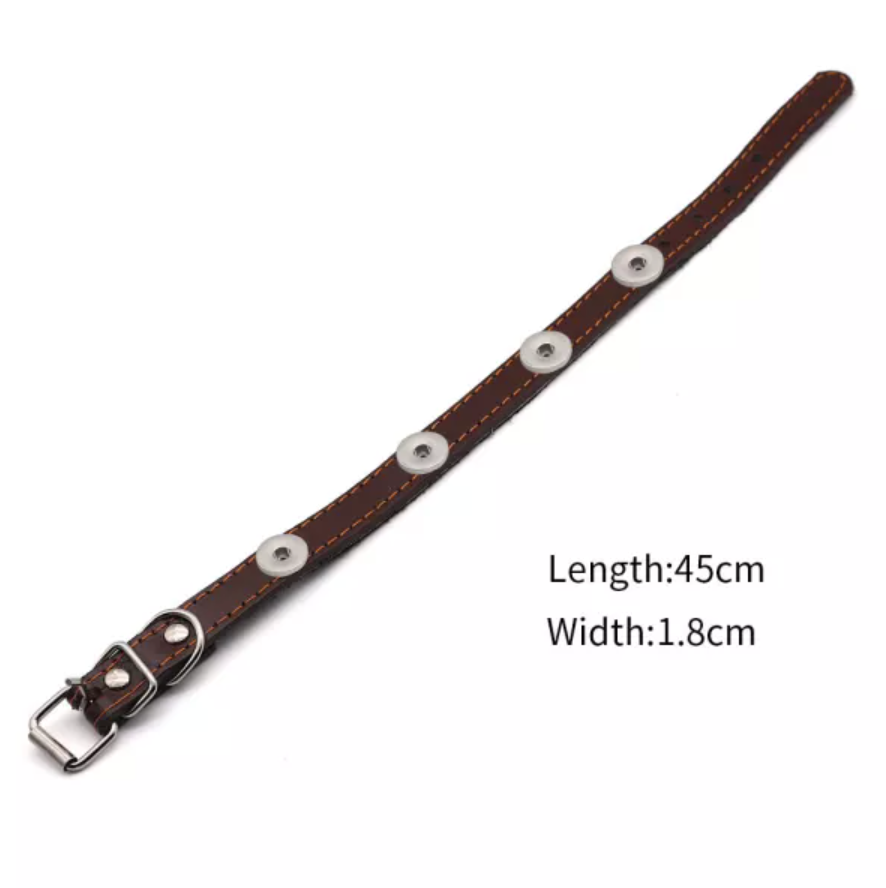 Brown Leather Pet