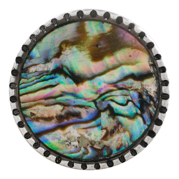 Abalone Shell
