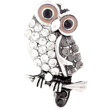 Barn Owl
