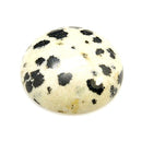 Dalmatian Jasper