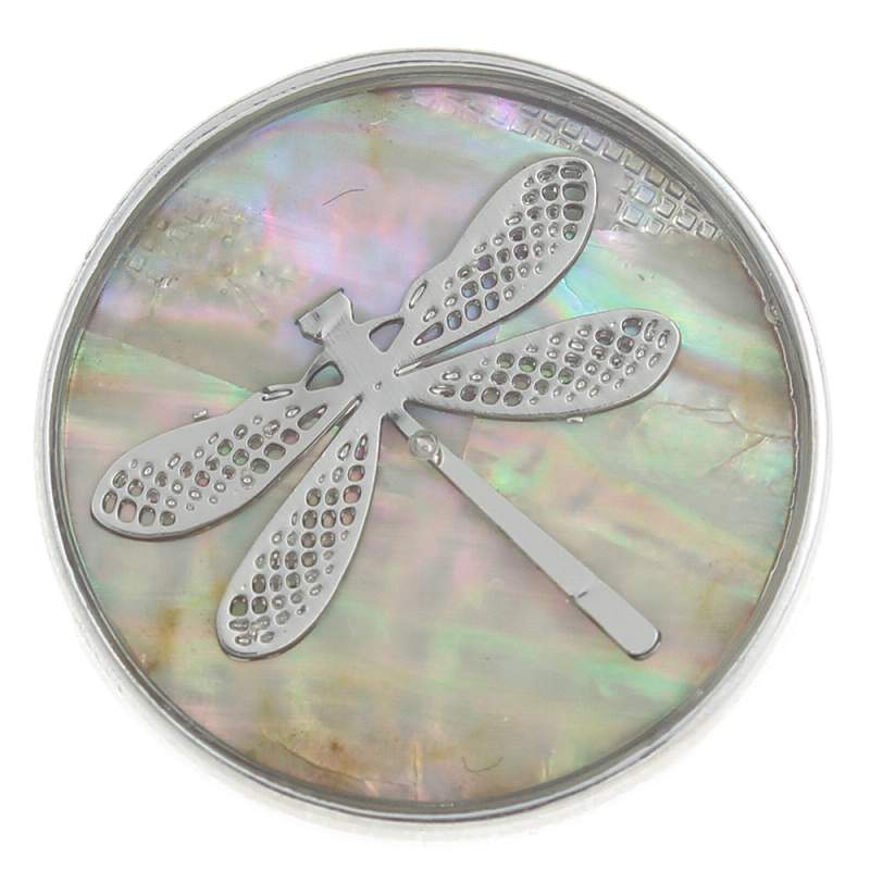 Dragonfly on Shells