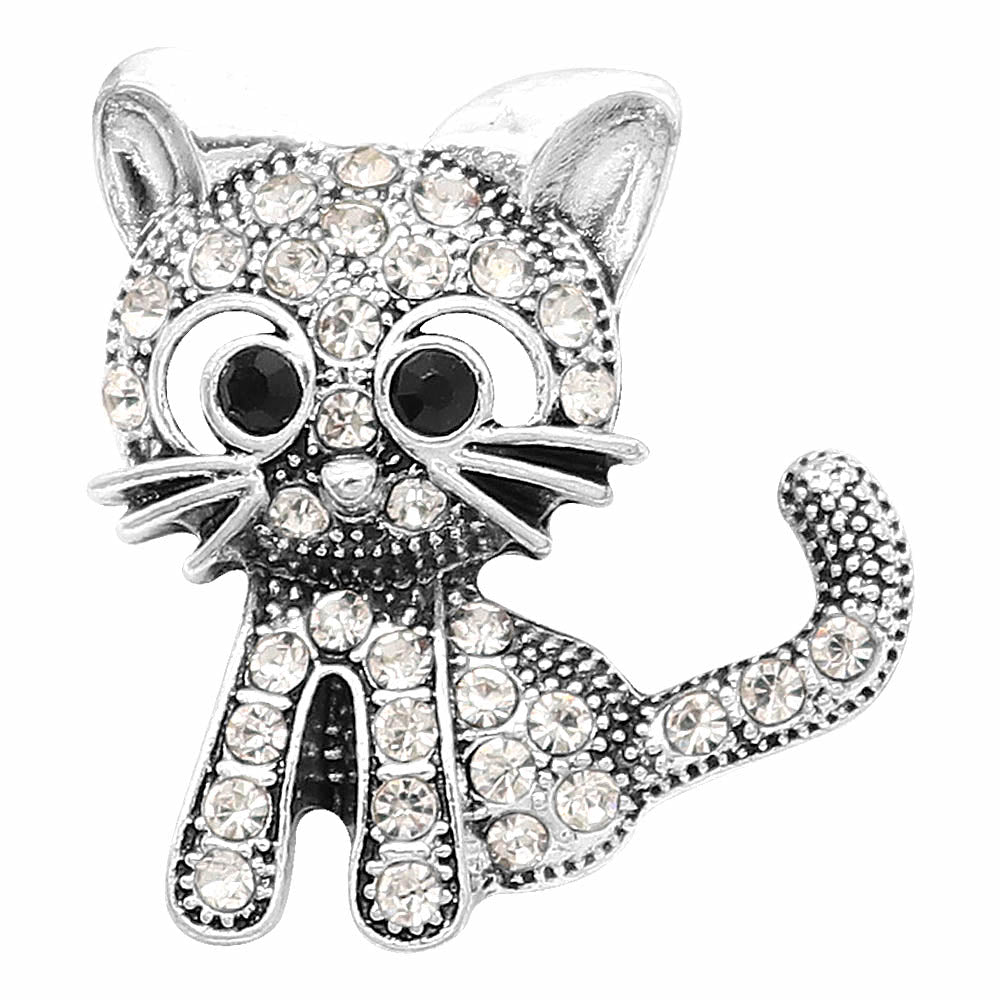 Kitty Kitty