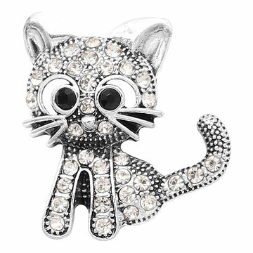 Kitty Kitty