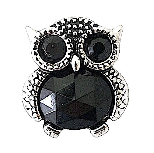 CICCABA OWL