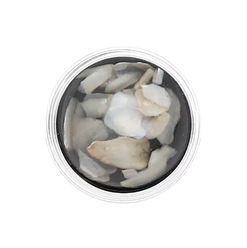 Shore Shells Petite