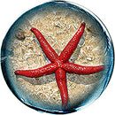Sea Star