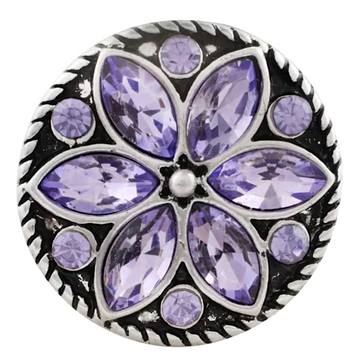 Viola
