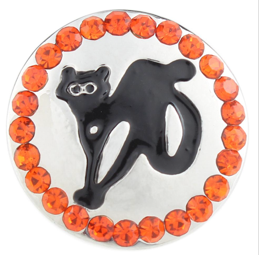 Witches Cat