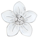 Arctic Snow  Flower - White
