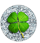 St. Patrick's Day Glass Dome