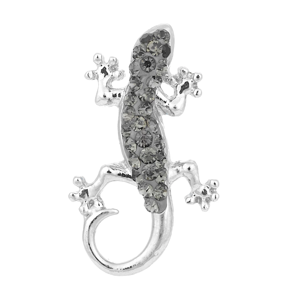 Wall Lizard
