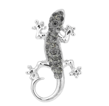 Wall Lizard